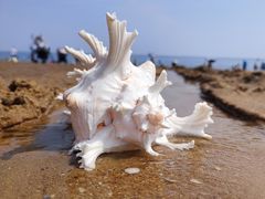 -天津东疆湾沙滩景区