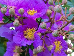 -南京市无想山景区