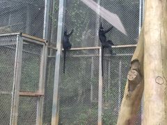 -黔灵山公园