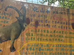 -昆明动物园