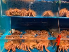 水产区-蟹田居·活蟹料理(东城店)