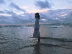 -贝壳沙滩