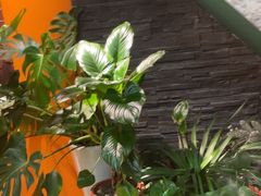 -泰古龙抓龙筋·spa按摩(静安店)