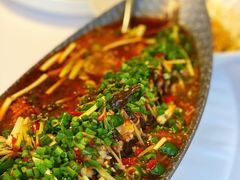 招牌跳水鱼-小河盐帮·私家菜·烤鸭(三元桥·霄云路店)