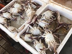 -江杨农产品批发市场