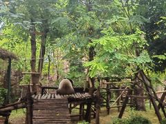 -五龙山野生动物王国