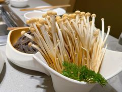 -海底捞火锅(公益西桥店)