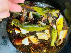 -山城家常菜铁锅炖鱼
