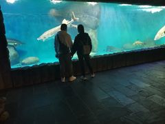 -多彩贵州城极地海洋世界