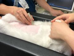 -爱诺耐芙动物医院(万博店)