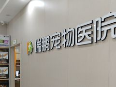 -瑞鹏宠物医院·骨外科·心肾科·肿瘤科(九亭店)