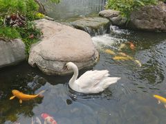 -罗红摄影艺术馆