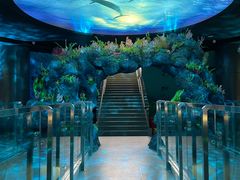 -陕西自然博物馆