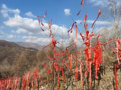-五台山风景区