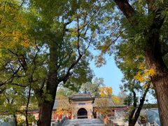 -红螺寺