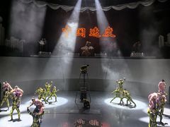 -武汉杂技厅