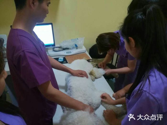 瑞鹏宠物医院·爱宠堂·骨外专科(西荷分院)图片