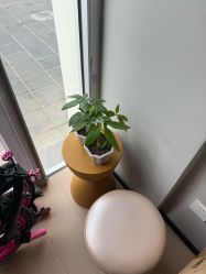 -兰瑜伽·普拉提