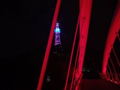 -金鸡山公园