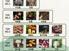 -西双版纳集贸市场