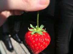 -福建鲤鱼洲酒店