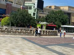 -Salud撒露欧洲冻酸奶(蓝色港湾店)