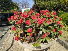 -厦门日月谷温泉渡假村