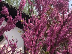 -济南国际园博园