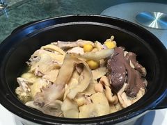 清炖鸡-花城苑广府菜(侨鑫店)