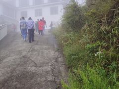-大围山国家森林公园
