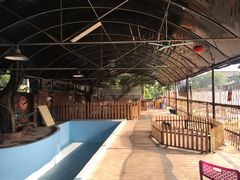 -柴犬高等学院·狗咖·柴犬售卖·宠物训练