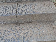-紫金山天文台