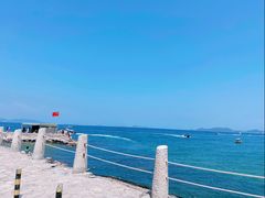 -杨梅坑
