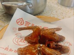-百利鸽王(紫薇路店)