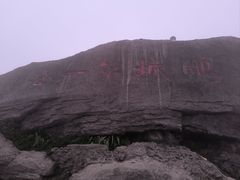 -梧桐山风景名胜区