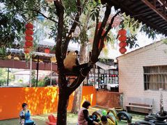 -宏八酒楼(西樵山景区店)