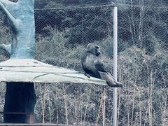 -杭州野生动物世界