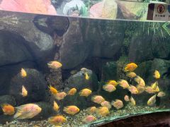 -苏州海洋馆