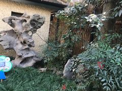 -上海蔡元培故居陈列馆