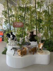 -IMON·HANSA潮玩玩偶毛绒玩具(通州万象汇店)