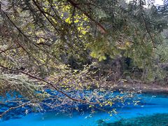 -九寨沟-树正沟