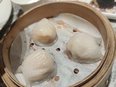 笋尖虾饺皇-悦秀·高级粤菜