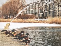 -稻香湖景欢乐岛温泉城堡