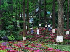 -忠山公园