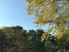-杭州植物园