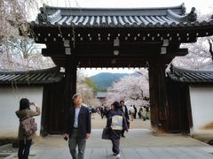 -醍醐寺