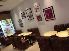 -哈根达斯(石家庄北国店)