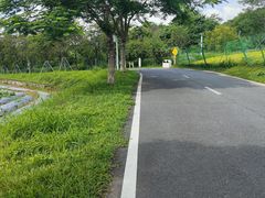-光明小镇欢乐田园