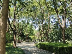 -玲珑塔公园