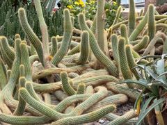 -南山植物园